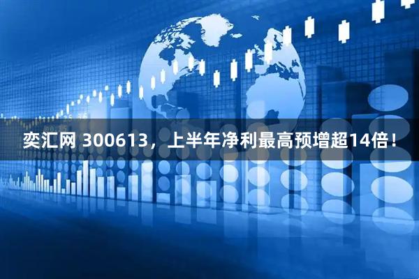 奕汇网 300613，上半年净利最高预增超14倍！