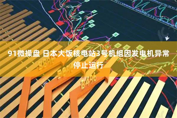 91微操盘 日本大饭核电站3号机组因发电机异常停止运行